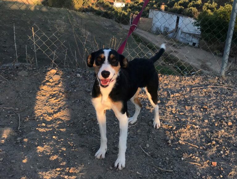 multimedia-foto44350-866-3