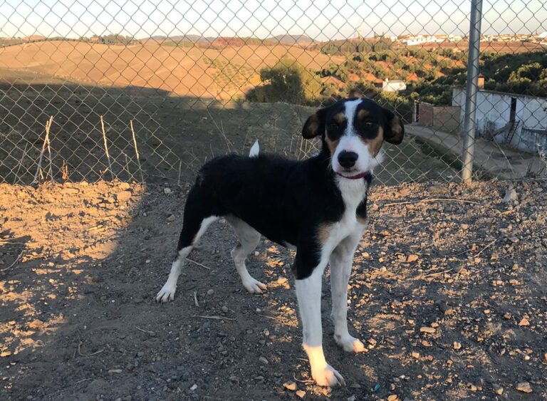 multimedia-foto44353-905-3