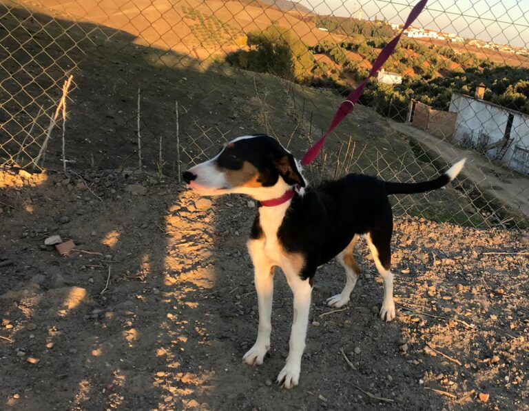 multimedia-foto44355-907-3