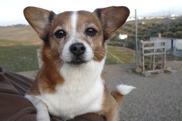 multimedia-foto44446-622-3