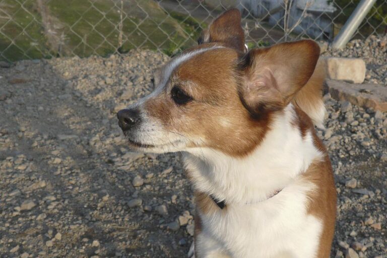 multimedia-foto44447-622-3