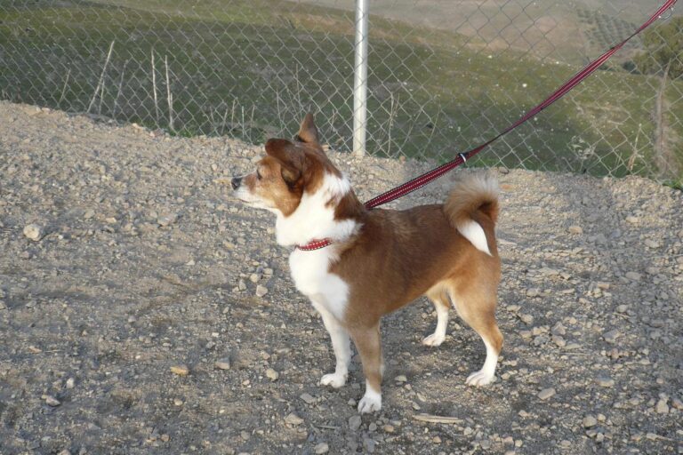 multimedia-foto44448-623-3