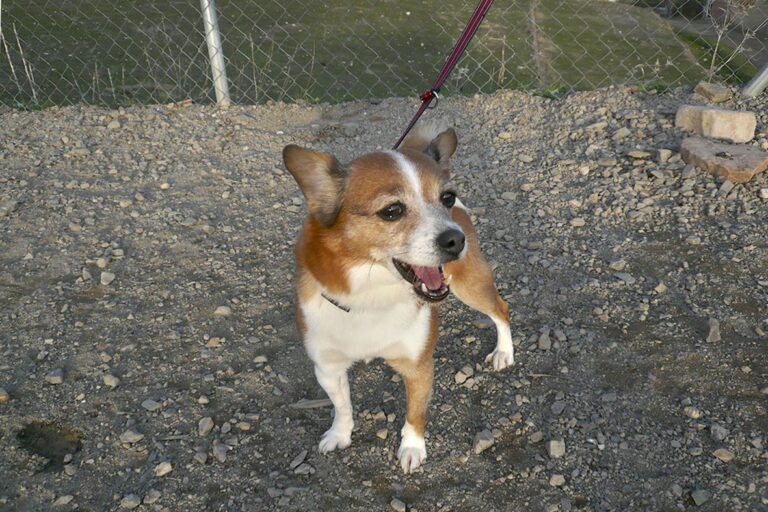 multimedia-foto44449-624-3