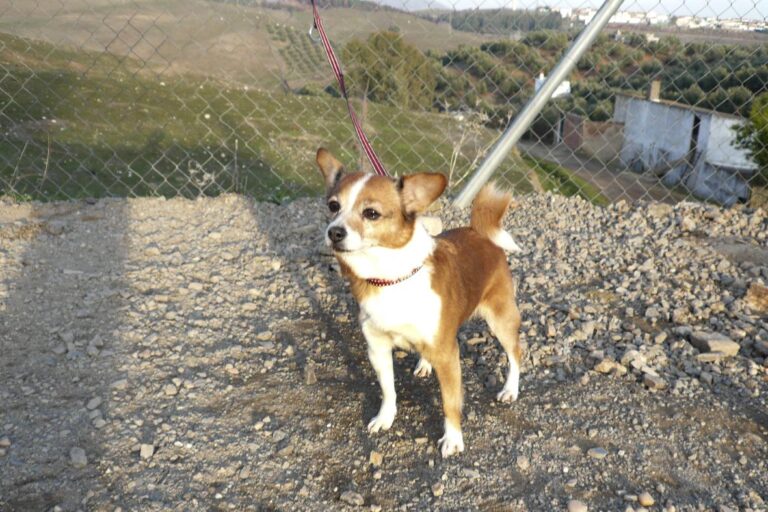 multimedia-foto44450-674-3