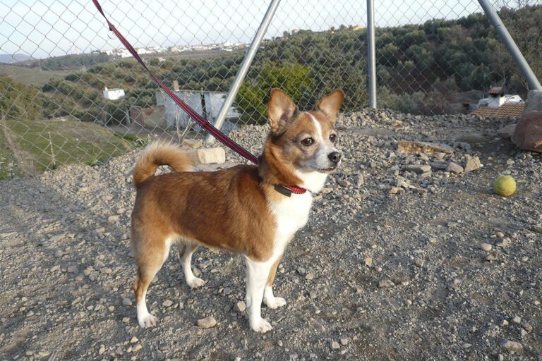 multimedia-foto44451-675-3