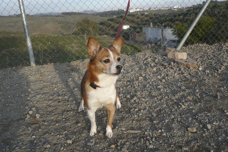 multimedia-foto44452-675-3