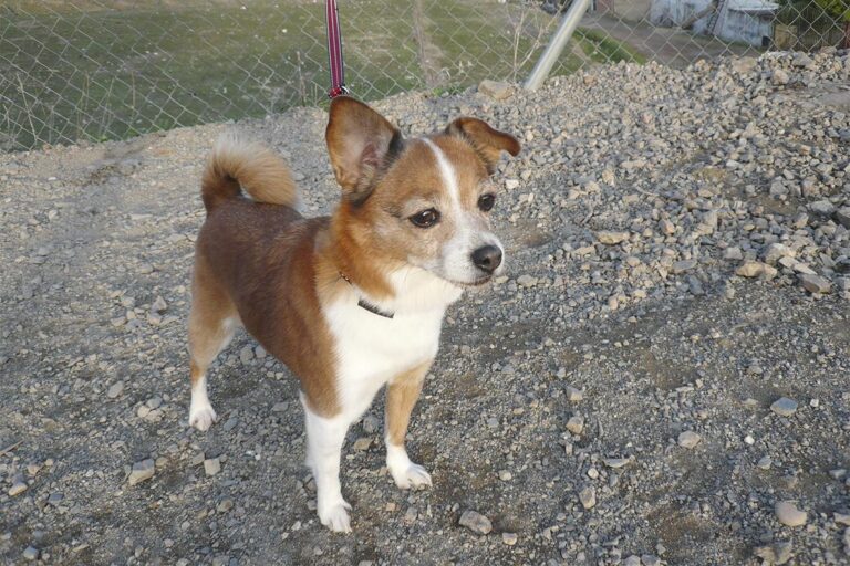 multimedia-foto44453-676-3