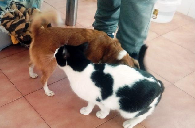 multimedia-foto44454-712-3