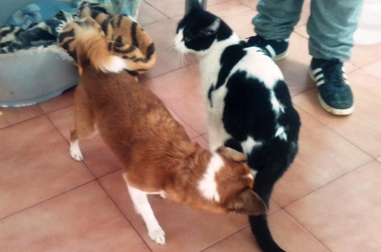 multimedia-foto44455-712-3