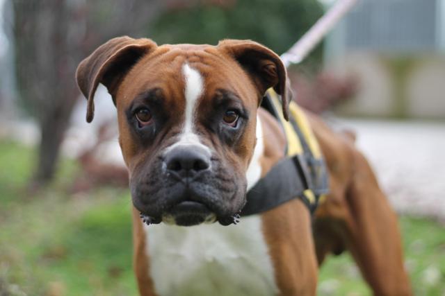 multimedia-foto44470-972-3