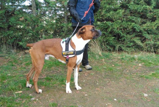 multimedia-foto44471-972-3