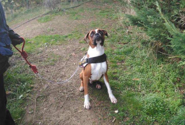 multimedia-foto44472-973-3