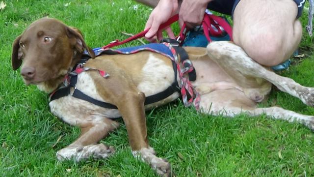 multimedia-foto44475-424-3