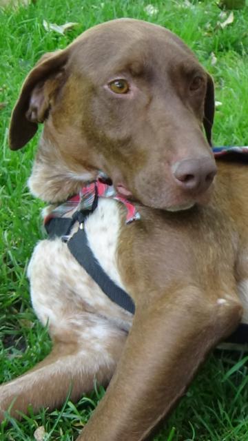 multimedia-foto44476-424-3