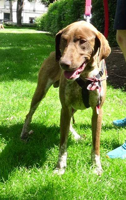 multimedia-foto44477-425-3