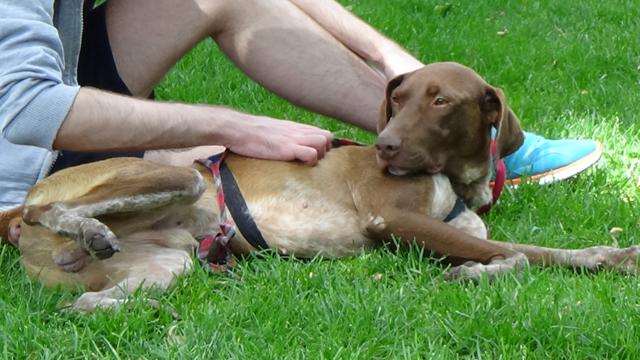 multimedia-foto44479-449-3