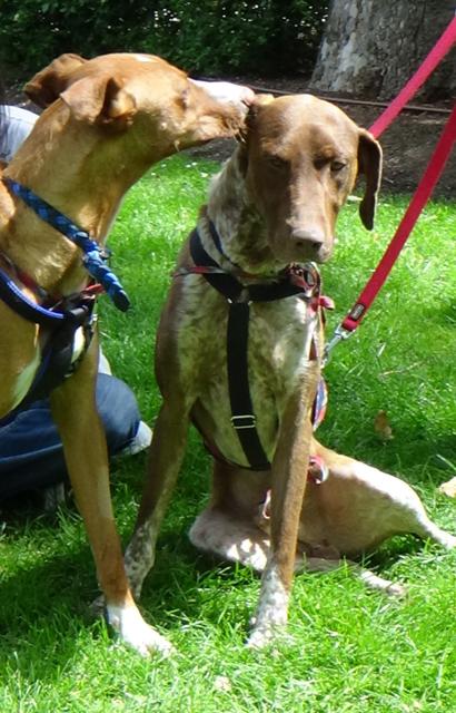 multimedia-foto44480-449-3