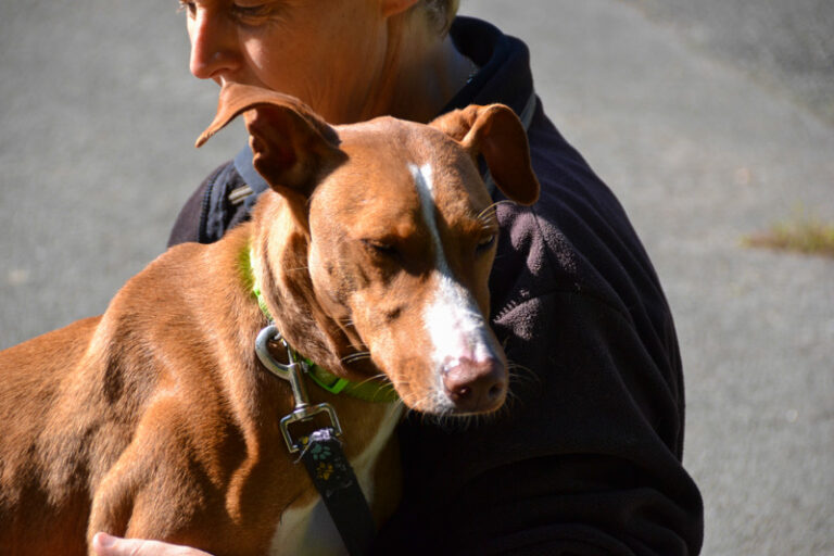 multimedia-foto44509-83-3