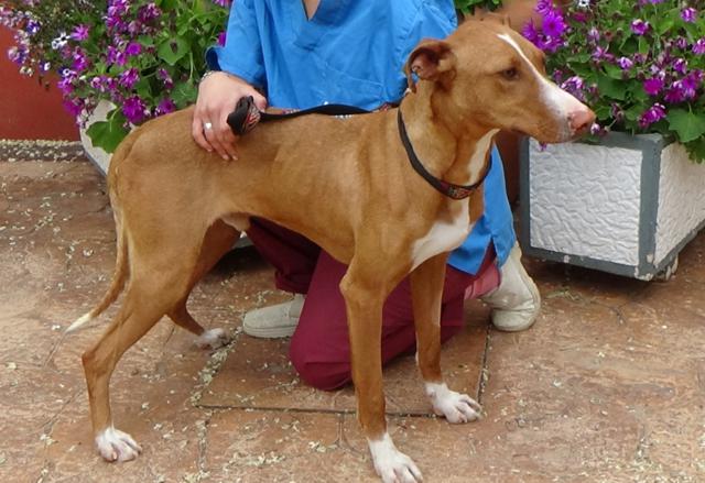 multimedia-foto44513-148-3