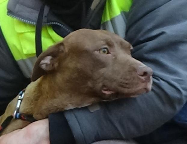 multimedia-foto44523-865-3