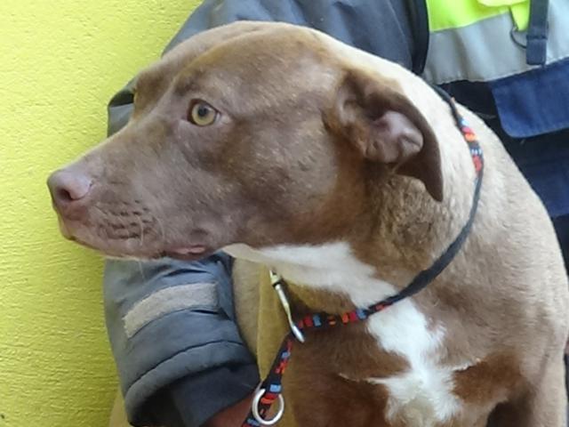 multimedia-foto44524-866-3