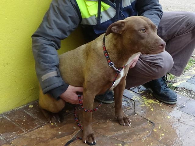 multimedia-foto44525-866-3