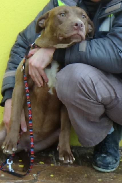 multimedia-foto44526-867-3