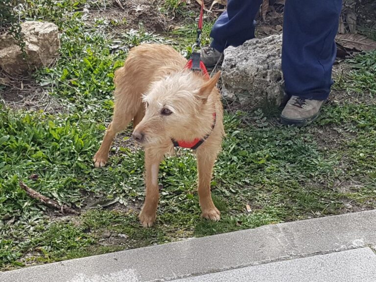 multimedia-foto44527-51-3