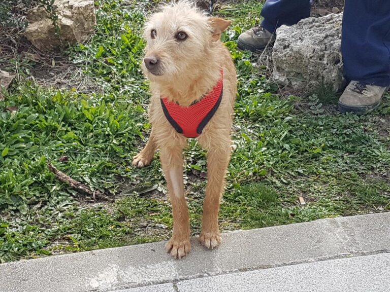 multimedia-foto44529-52-3