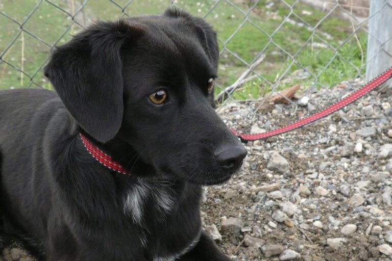 multimedia-foto44530-735-3