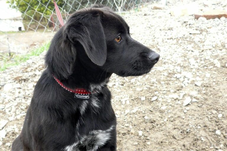 multimedia-foto44531-735-3