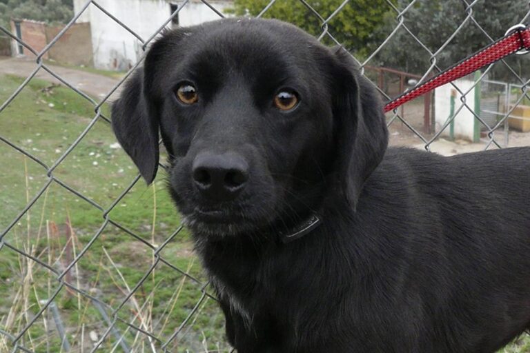 multimedia-foto44532-736-3