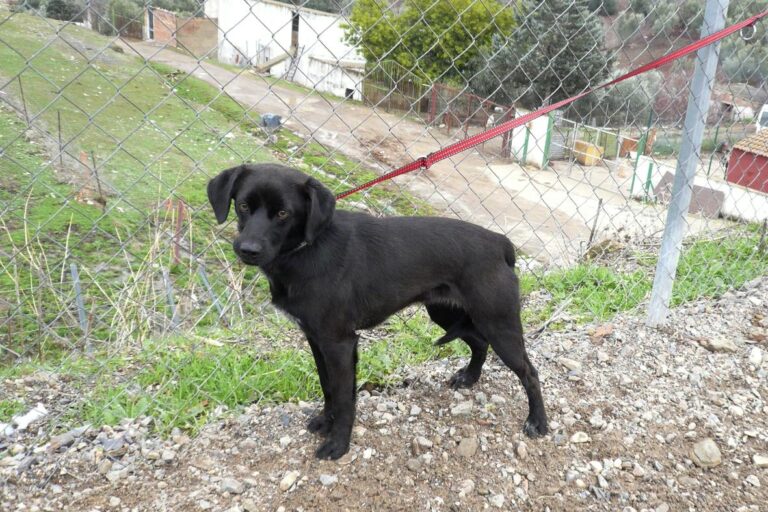 multimedia-foto44533-736-3