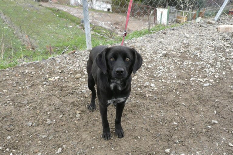 multimedia-foto44534-765-3