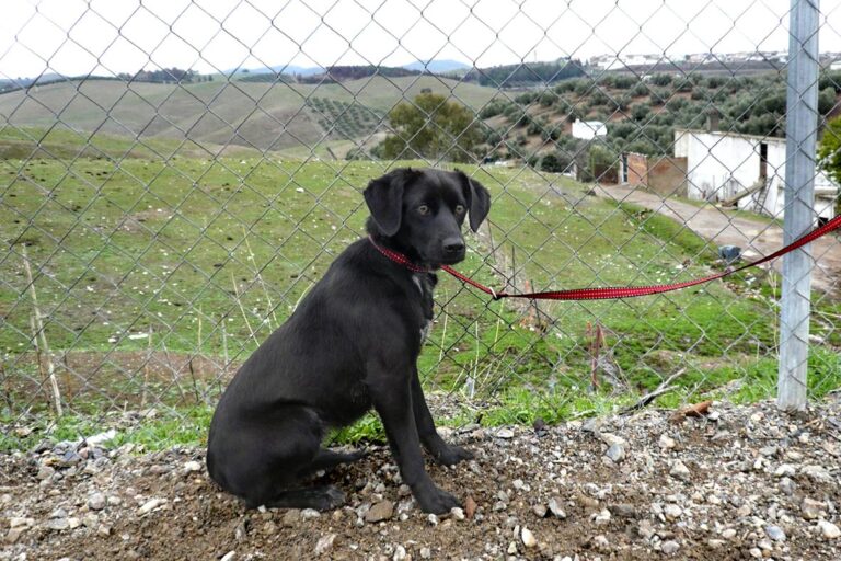 multimedia-foto44535-765-3