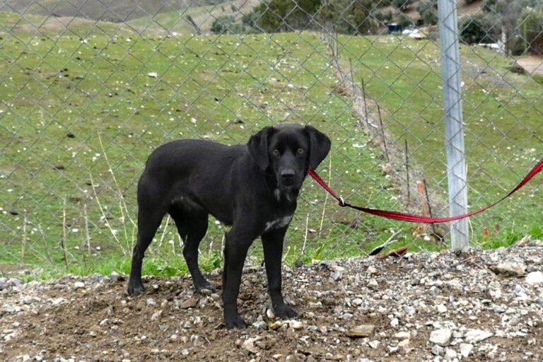 multimedia-foto44536-766-3