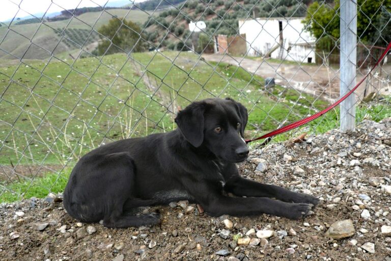 multimedia-foto44537-767-3