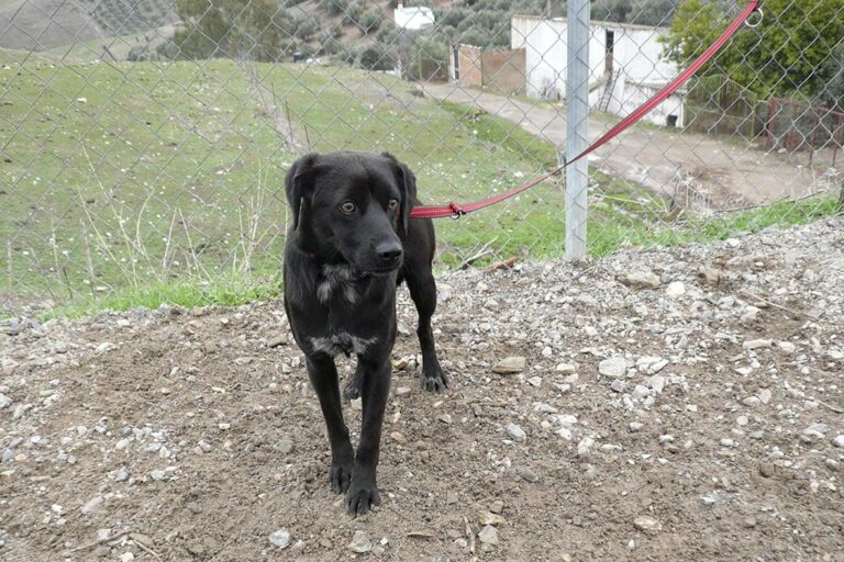 multimedia-foto44538-789-3