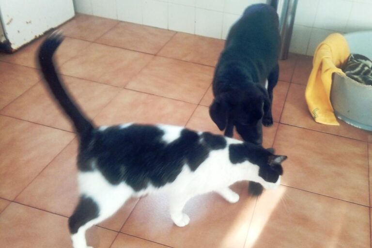 multimedia-foto44539-789-3