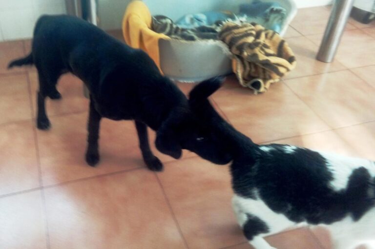 multimedia-foto44540-790-3