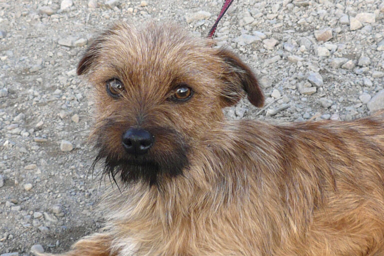 multimedia-foto44542-130-3