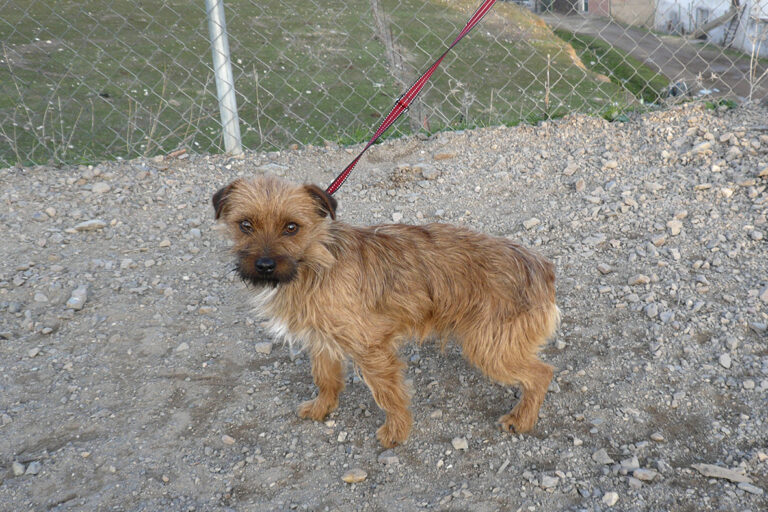 multimedia-foto44543-131-3