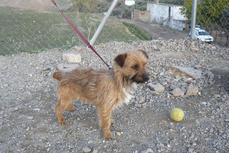 multimedia-foto44544-132-3