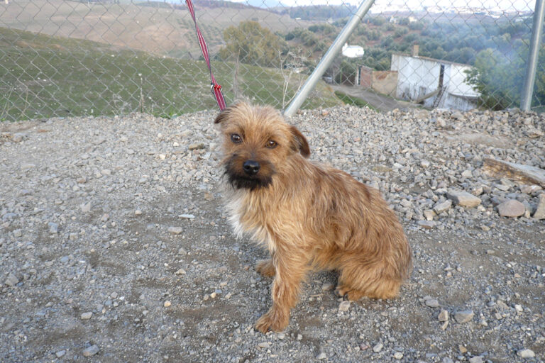 multimedia-foto44545-162-3