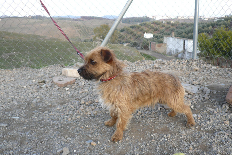 multimedia-foto44546-163-3