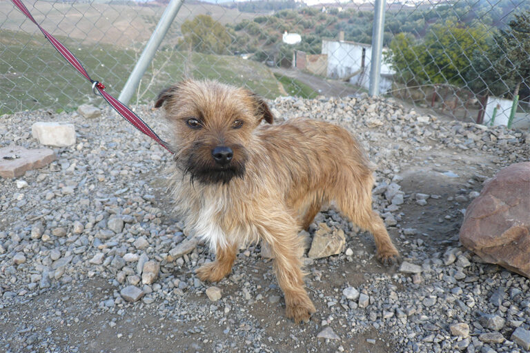 multimedia-foto44547-164-3