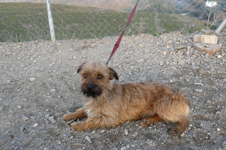 multimedia-foto44548-165-3