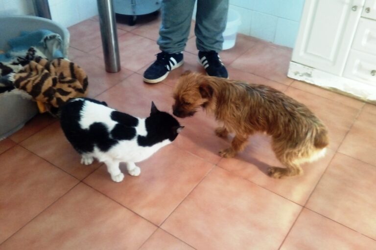 multimedia-foto44549-181-3