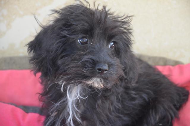 multimedia-foto44559-700-3