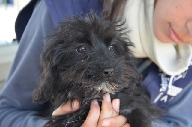 multimedia-foto44560-701-3